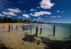 clifton springs # 5