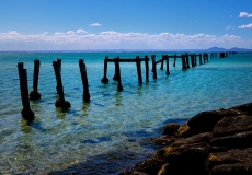 clifton springs # 8