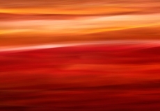 Colour Flow # 16