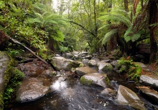 10 Erskine Falls