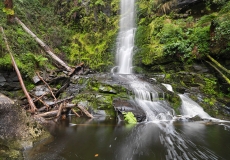 06 Erskine Falls