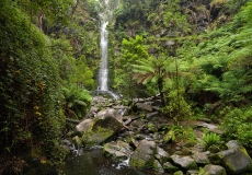 07 Erskine Falls