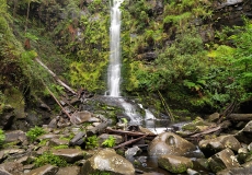 08 Erskine Falls