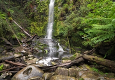 09 Erskine Falls