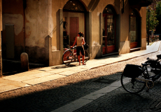 Cremona # 7