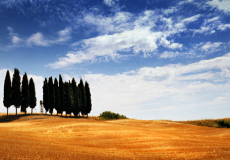 Tuscany # 2