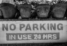 16 No Parking