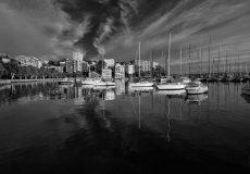 20 Potts Point Boats