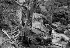 hanging rock # 8