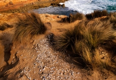 36 Mornington Peninsula National Park