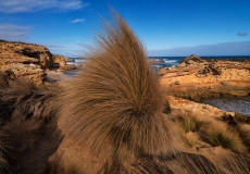 37 Mornington Peninsula National Park