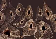 03 Pods