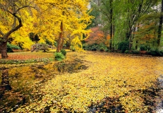01 Seasons Autumn - Collection 2