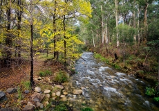 15 High Country
