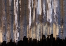 urban texture # 1