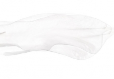02 white on white