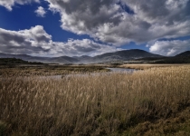 Wilsons Promontory