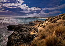 Mornington-Peninsula-Nat-Park-thumb