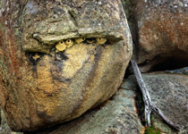 Pyalong-Rocks-thumb