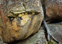 Pyalong-Rocks-thumb