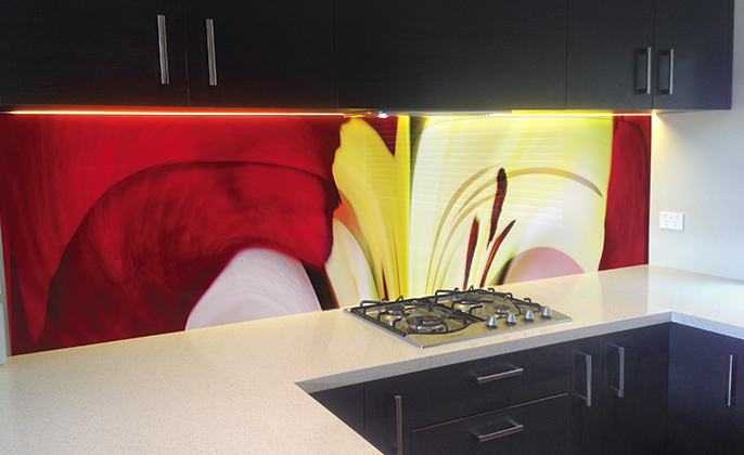 VR ArtGlass printed glass splashback NATURES SHAPE 4 by photographer Michael Collins for VISUAL RESOURCE