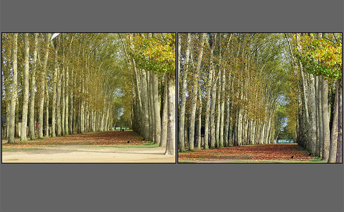 VR Art Glass Trees in the garden of Versailles before and after enhancements