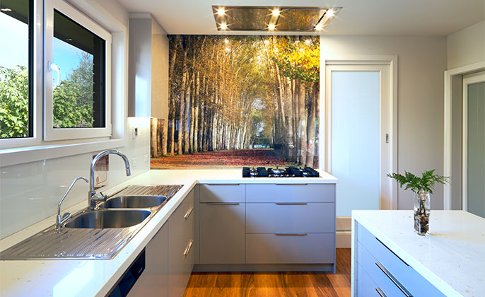 VR ArtGlass Printed glass splashback by Visual Resource Trees in the garden of VERSAILLES