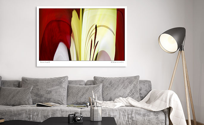 Visual Resource Art Print Photographic Wall Art NATURES SHAPE 4