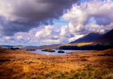 Irish Landscape 05