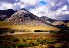 Irish Landscape 15