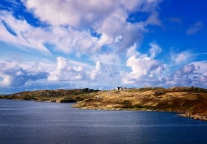 Irish Landscape 20