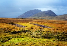 Irish Landscape 21