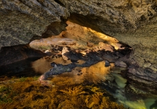 18 mornington peninsula national park