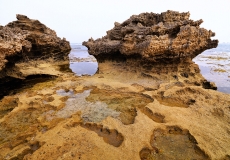 29 mornington peninsula national park