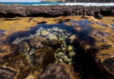 07 mornington peninsula national park